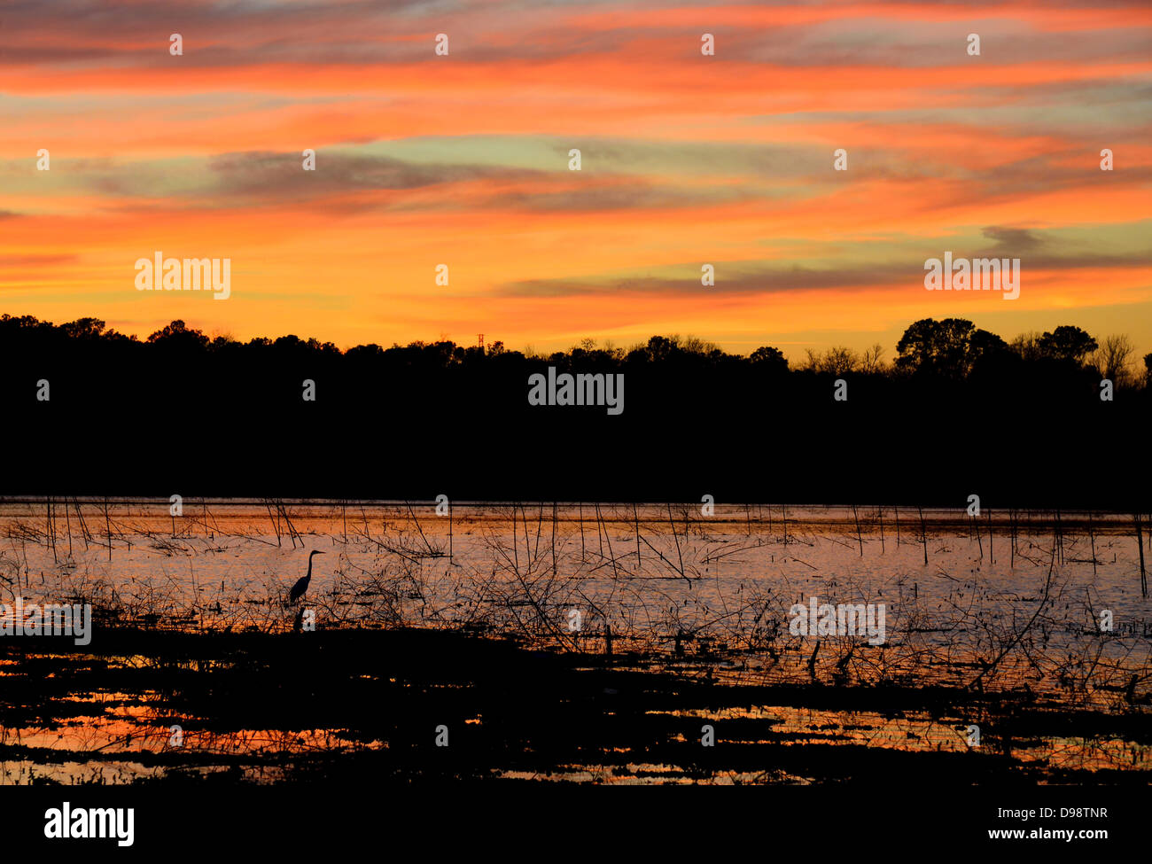Colorful sunset at Lake Houston. Texas, USA. Stock Photo