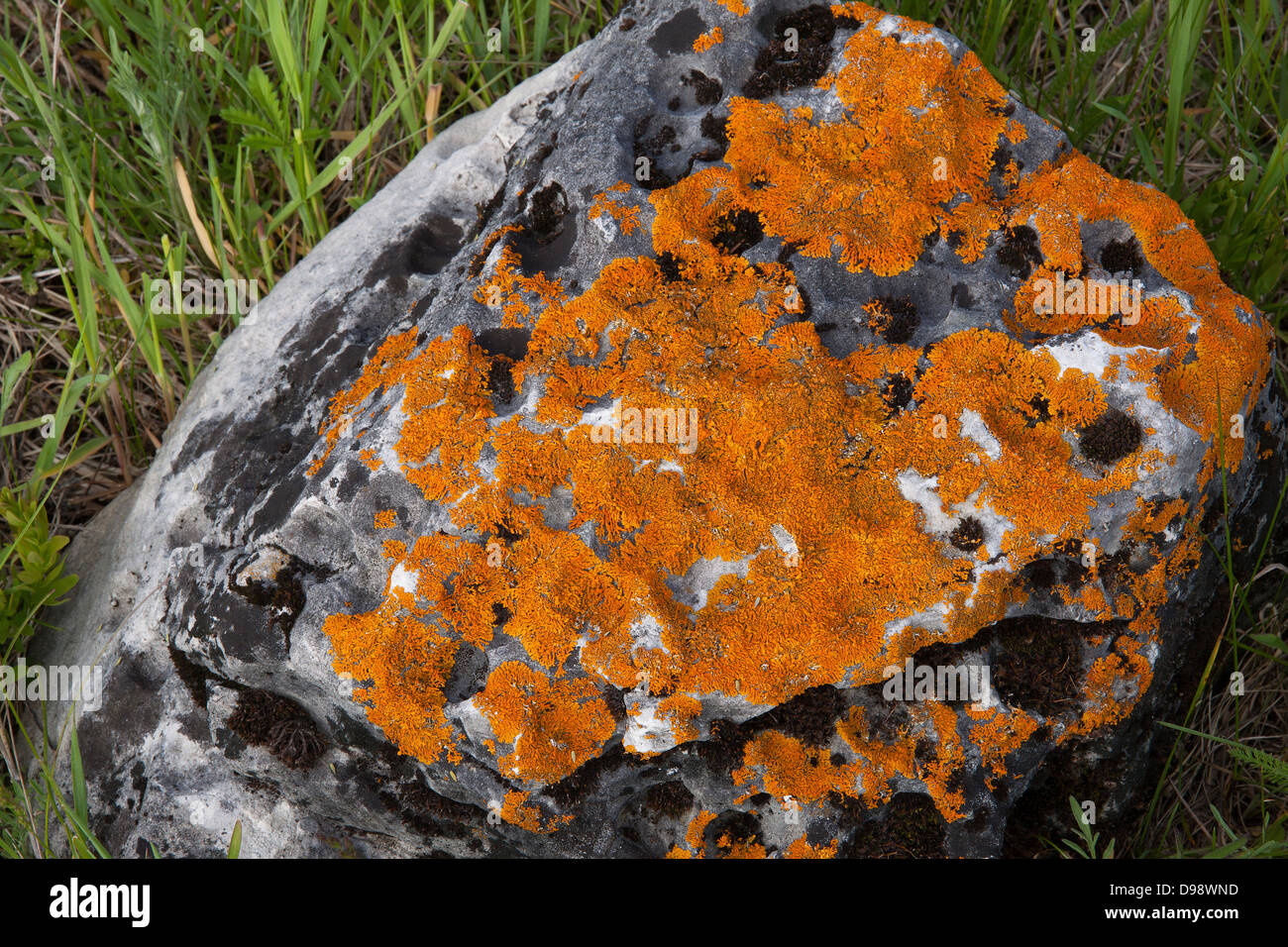 Rock Surfaces Stock Photos Rock Surfaces Stock Images Alamy