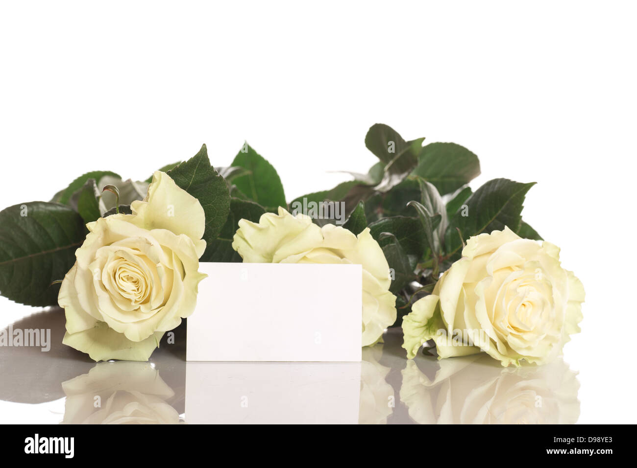 three beautiful roses on a white background Stock Photo - Alamy