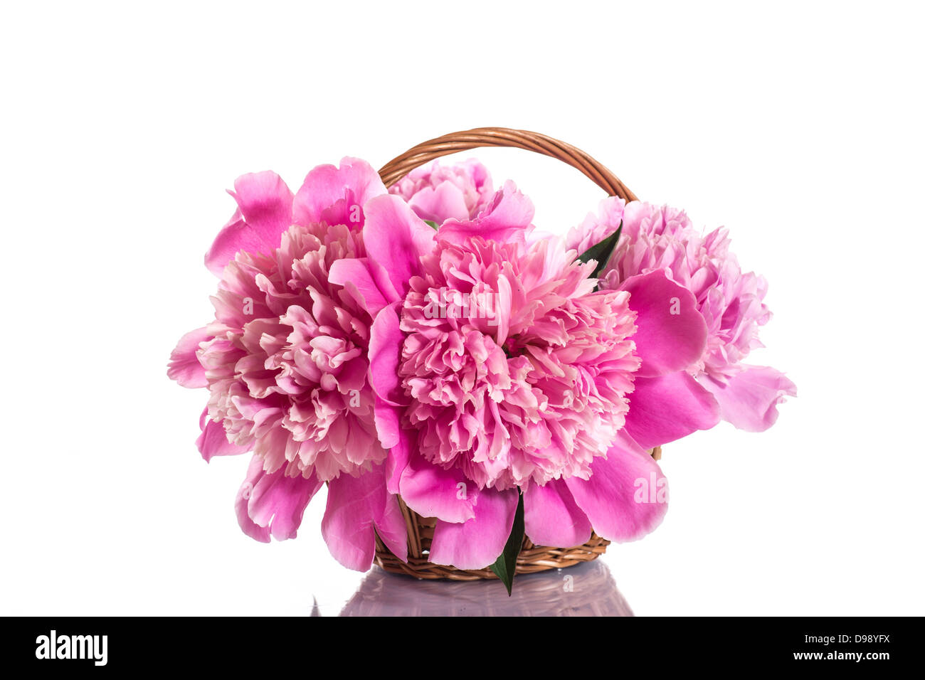 bouquet of pink peonies Stock Photo - Alamy