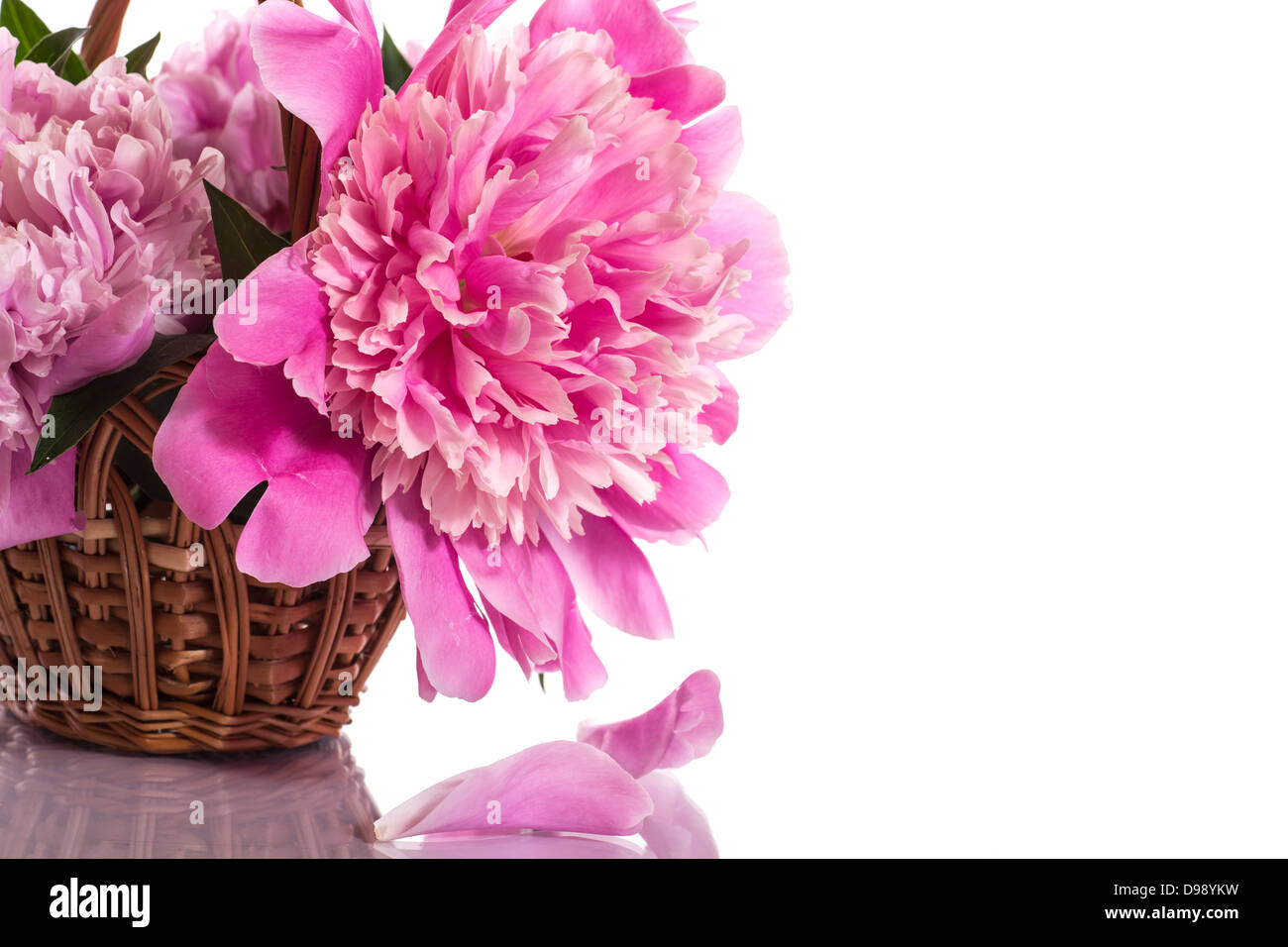 bouquet of pink peonies Stock Photo - Alamy