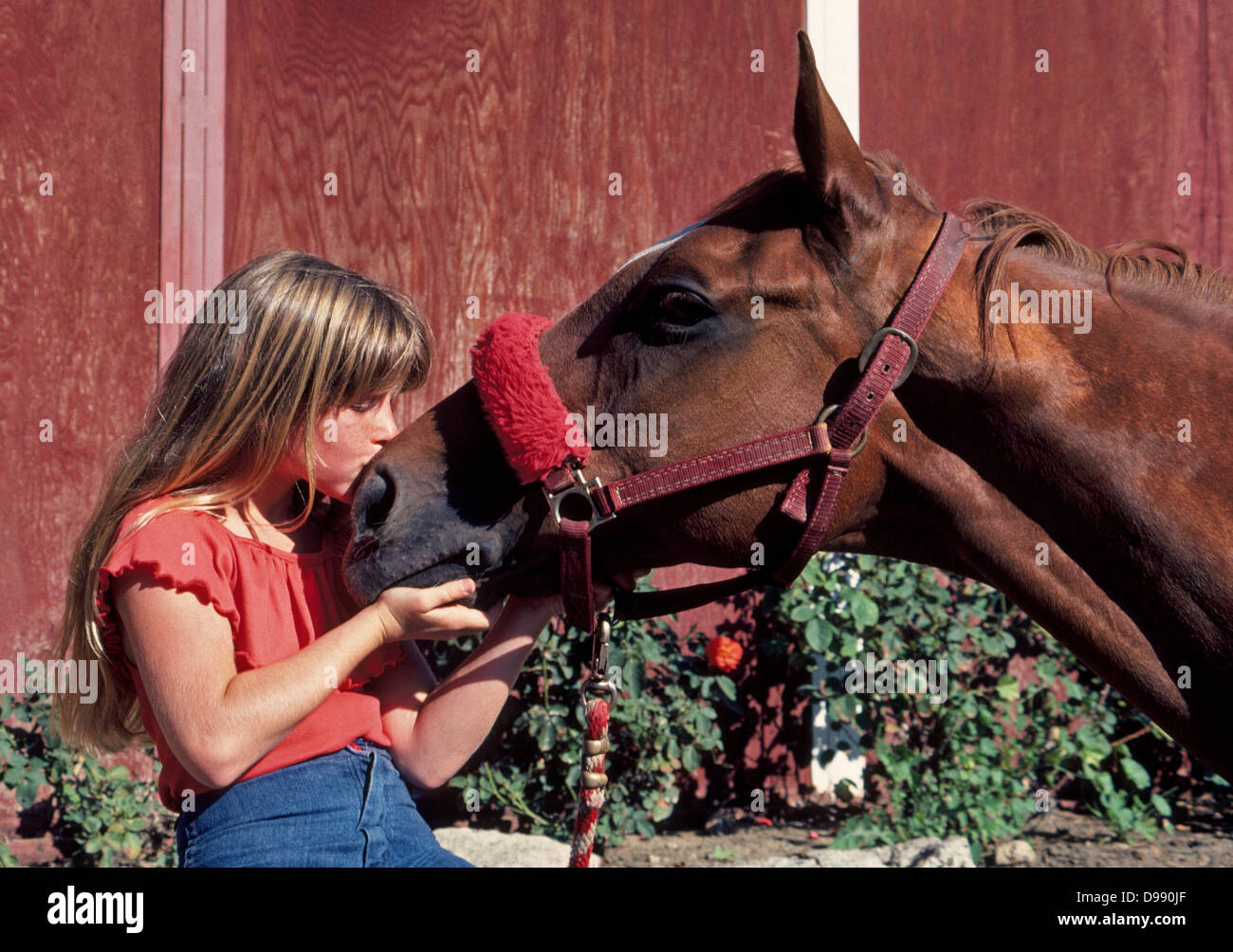 A young girl and her horse show their mutual love for each other at an