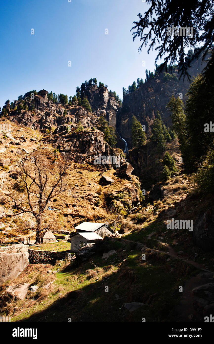 Trees on a hill, Manali, Himachal Pradesh, India Stock Photo Alamy