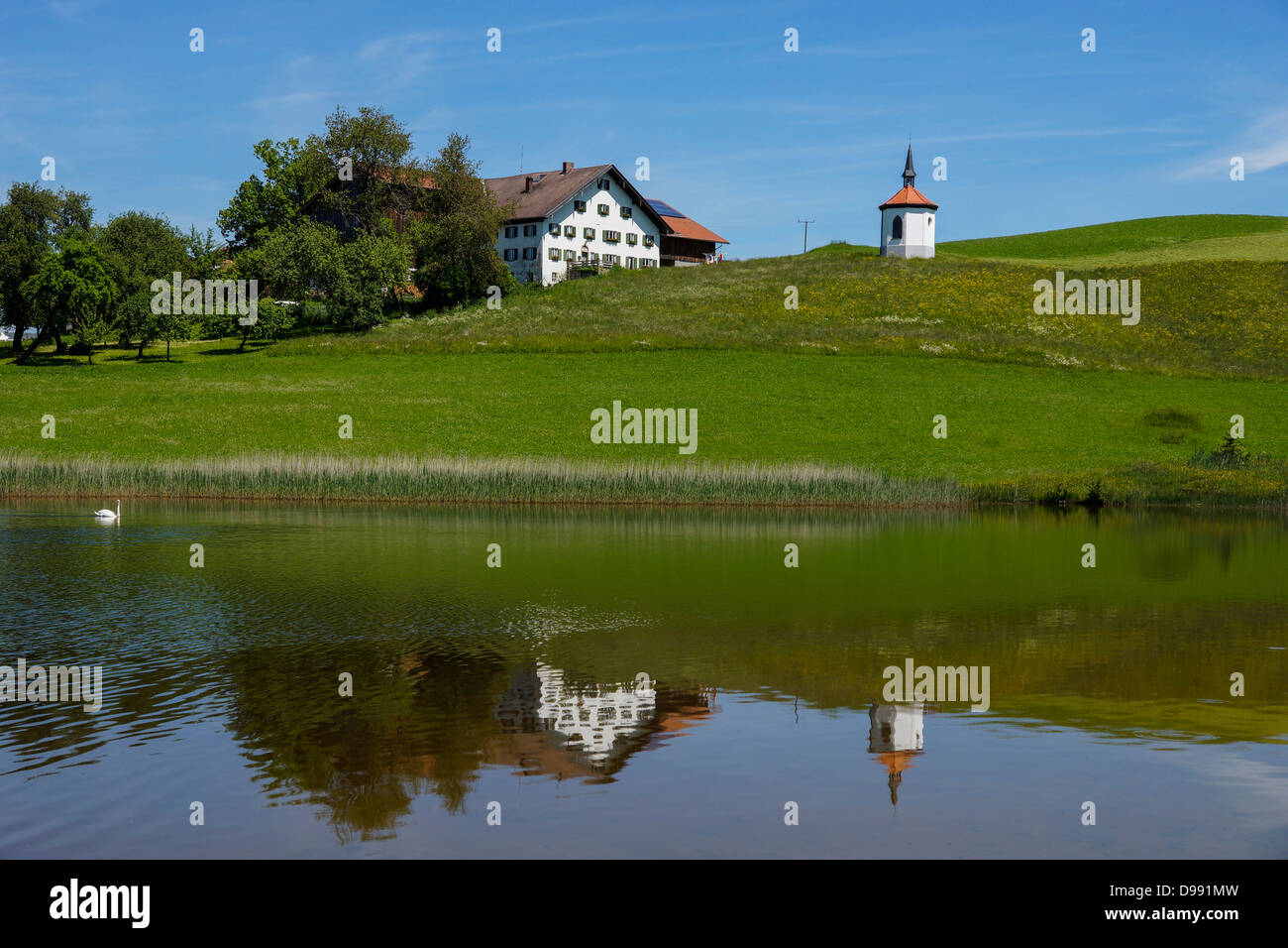 Farm beside Hegratsrieder Lake near Fuessen, Ostallgaeu, Allgaeu, Upper Bavaria, Bavaria, Germany, Europe Stock Photo