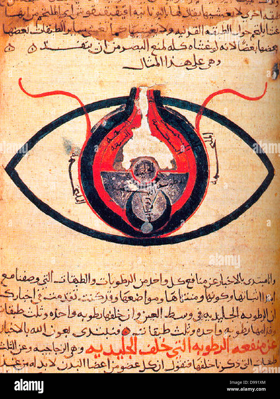 The Cheshm Manuscript. This manuscript, dated circa 1200CE, is kept at the Cairo National Library. Image of copy is by Zereshk. The eye according to Hunain ibn Ishaq Stock Photo