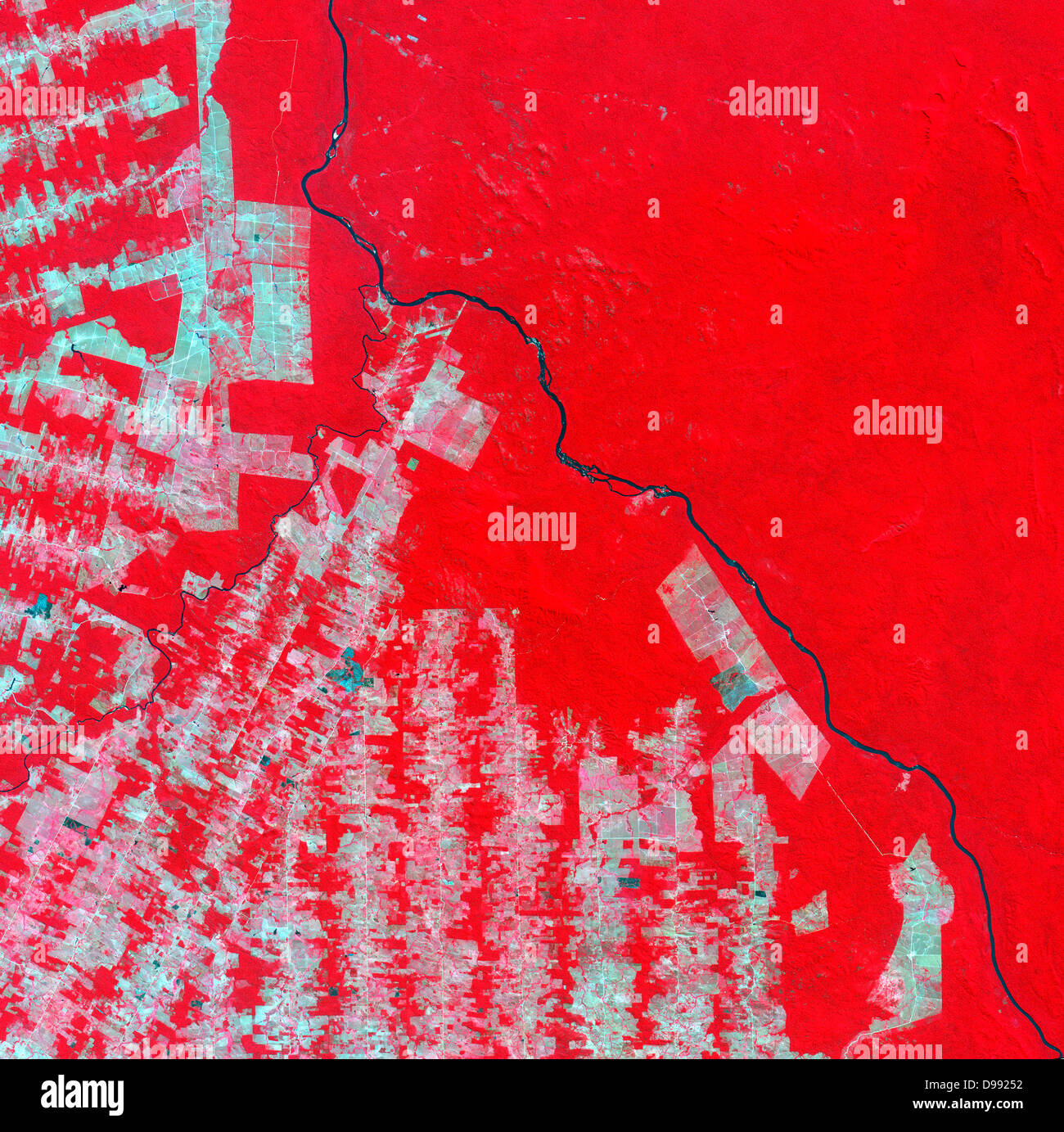 False-colour satellite image of deforestation in Rondonia State, Brazil in 2000. Pink and brown areas are cleared land, tropical rainforest shows as bright red. Credit: NASA. South America Science Stock Photo