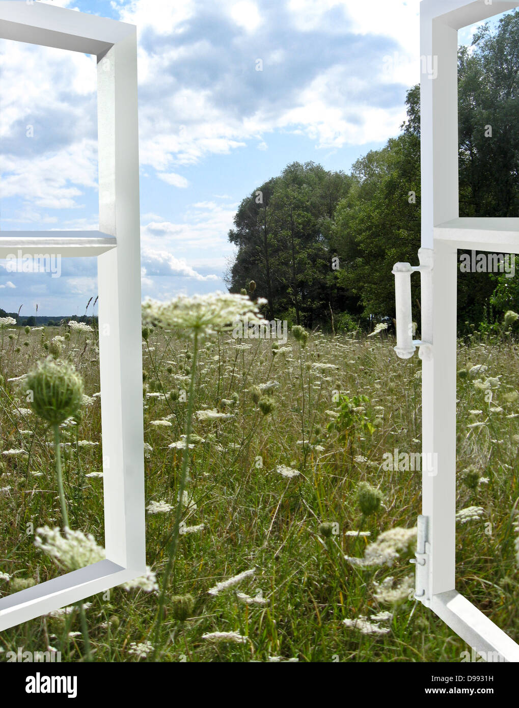 the image of opened window to the summer field Stock Photo - Alamy