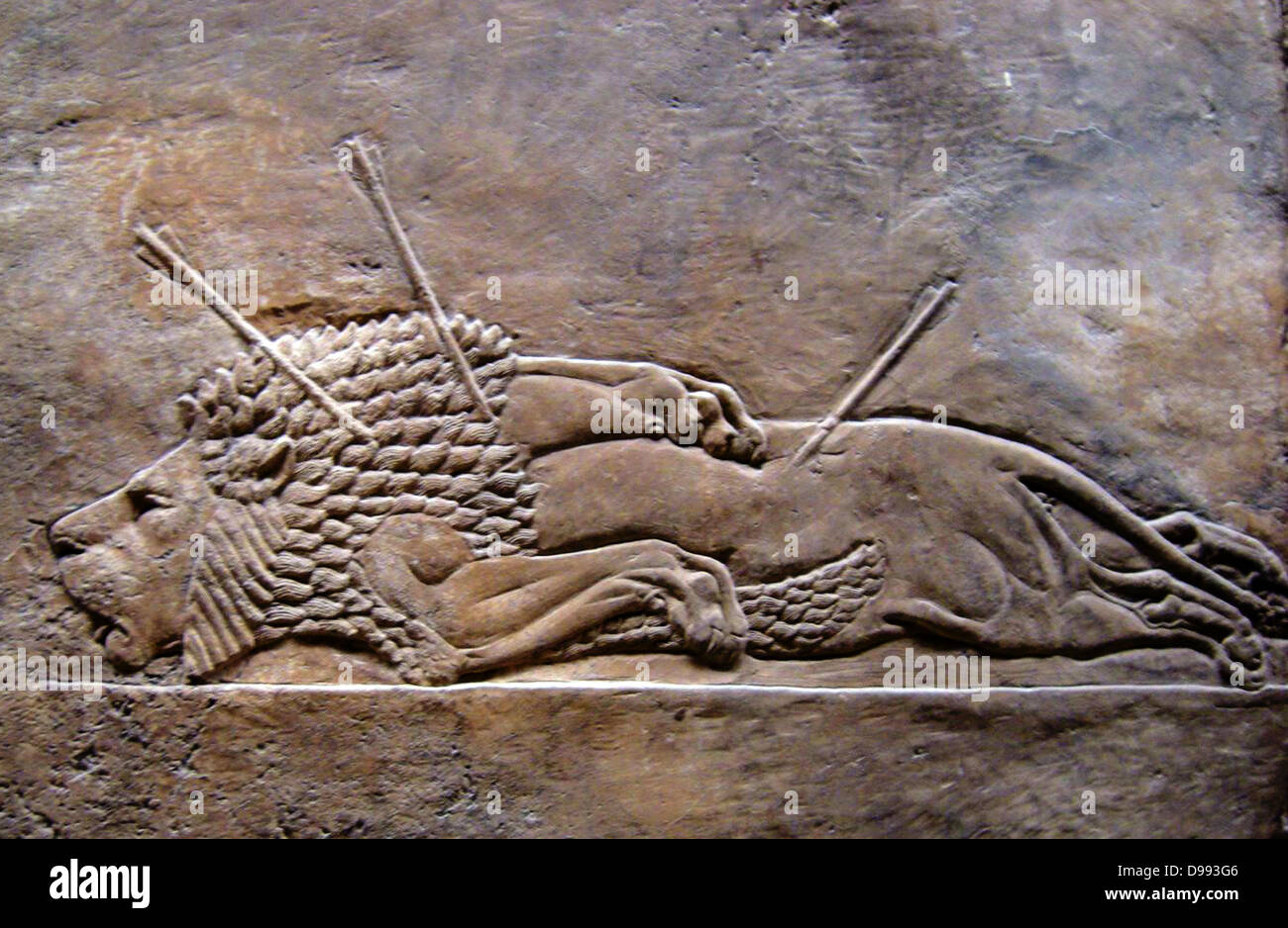 Nineveh ancient city of Assyria, near modern-day Mosul, in the Ninawa Governorate of Iraq. Relief from the palace showing a lion hunted to death. 2nd millennium BC Stock Photo