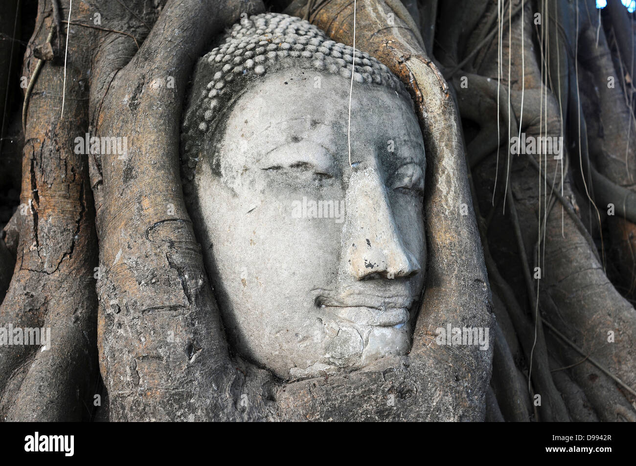 vacation thailand buddha bagan building vietnam luang india tree wisdom ...