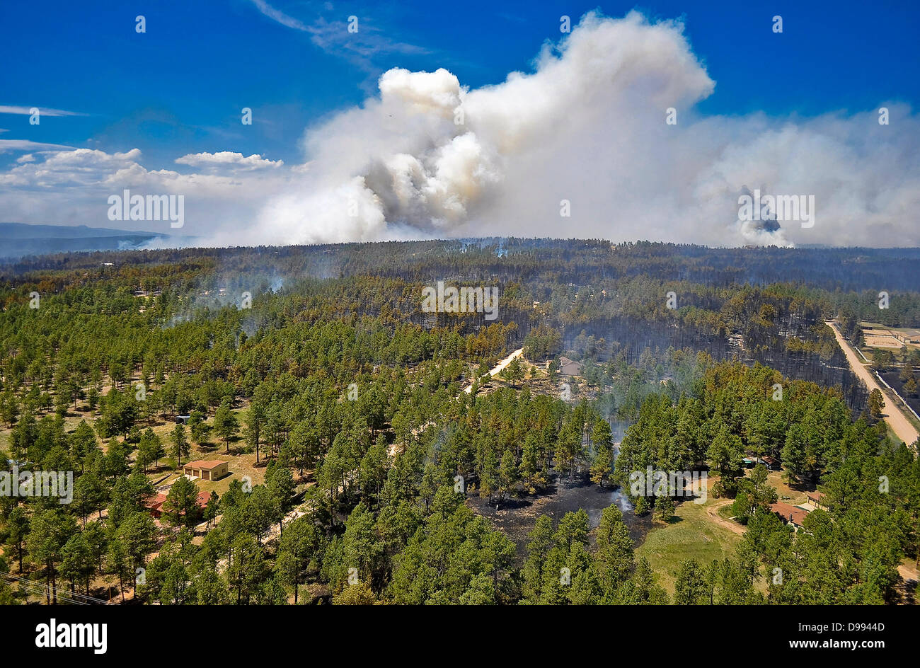 Smoke bellows as the Black Forest Fire continues to burn June 12, 2013 near Colorado Spring, CO. The fire has killed two people and destroyed more than 500 homes becoming the most destructive wildfire in Colorado. Stock Photo