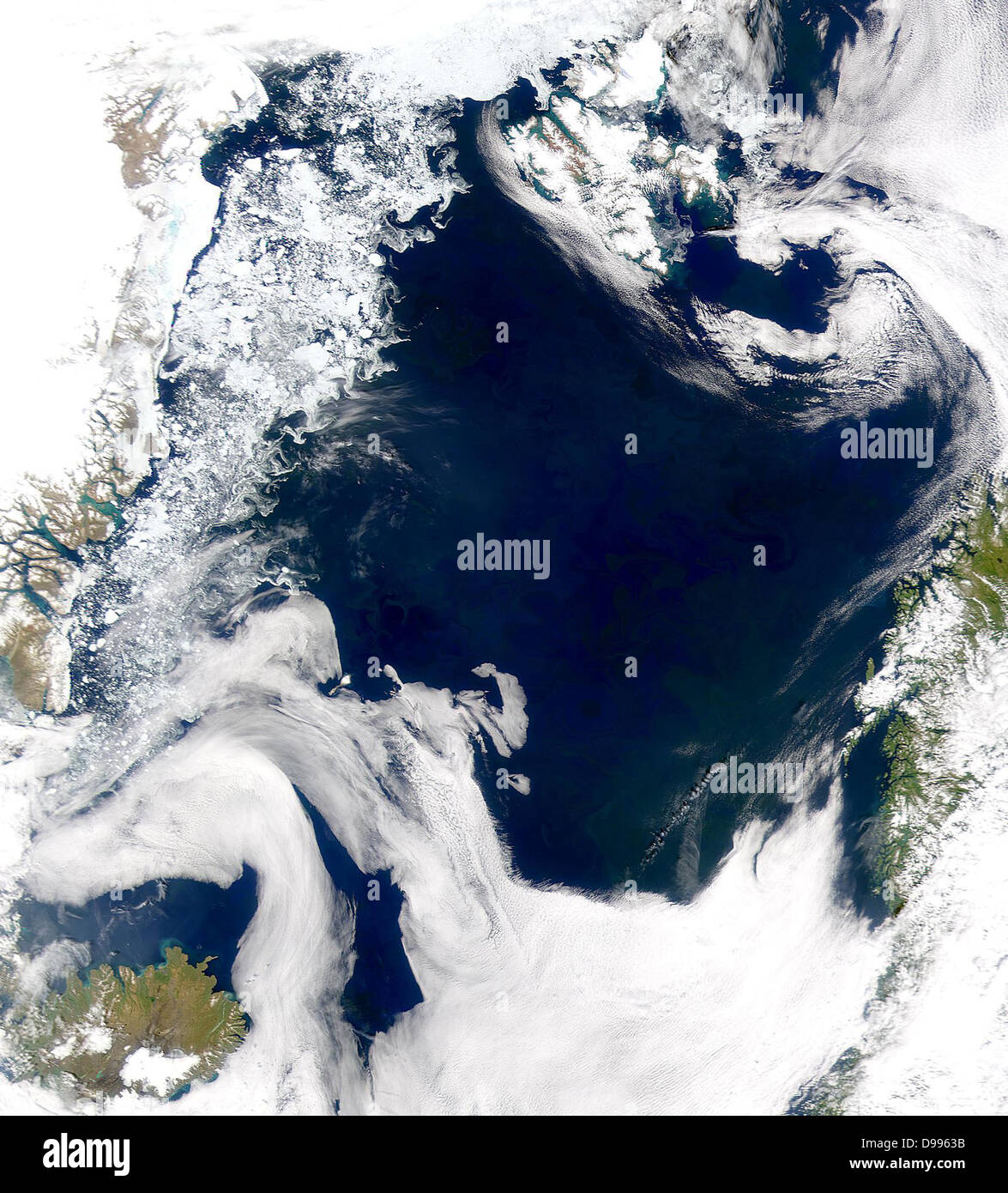 Credit Provided by the SeaWiFS Project, NASA/Goddard Space Flight Centre, and ORBIMAGE    The cold, productive waters of the Greenland Sea and Norwegian Sea are revealed in this SeaWiFS image. Stock Photo
