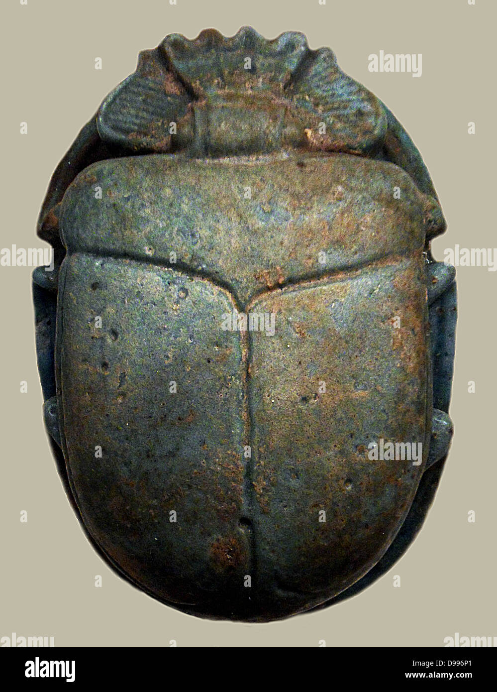 What Does The Egyptian Scarab Beetle Mean At Ella Dierking Blog What Does The Egyptian Scarab Beetle Mean At Ella Dierking Blog