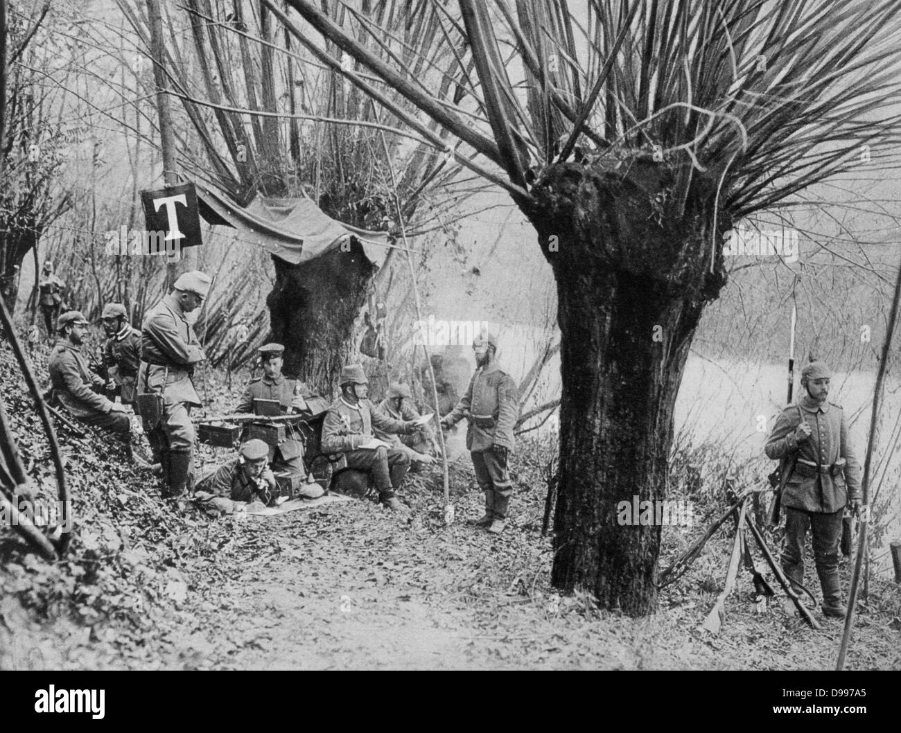 World War I 1914-1918: German field telephone post under pollarded willow trees on the banks of the River Aisne, north-eastern France, 1915. Military, Army, Communications, Technology Stock Photo