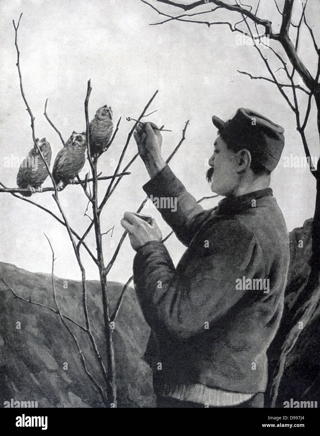 World War I 1914-1918:  French soldier relieving boredom in the trenches by feeding a family of young owls. From 'Le Pays de France', Paris, 17 June 1915. Stock Photo