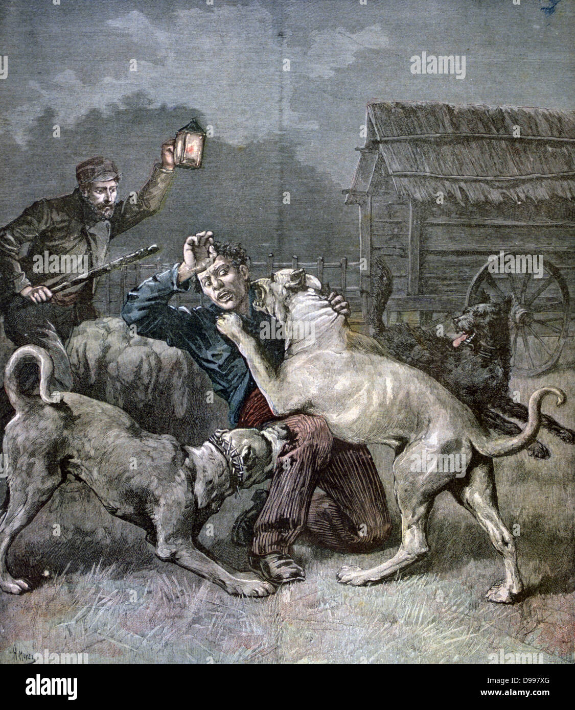 Shepherd, disturbed by noise at night, finds a criminal being attacked and killed by the three large dogs guarding sheep.  From 'Le Petit Journal', 21 November 1891. Stock Photo