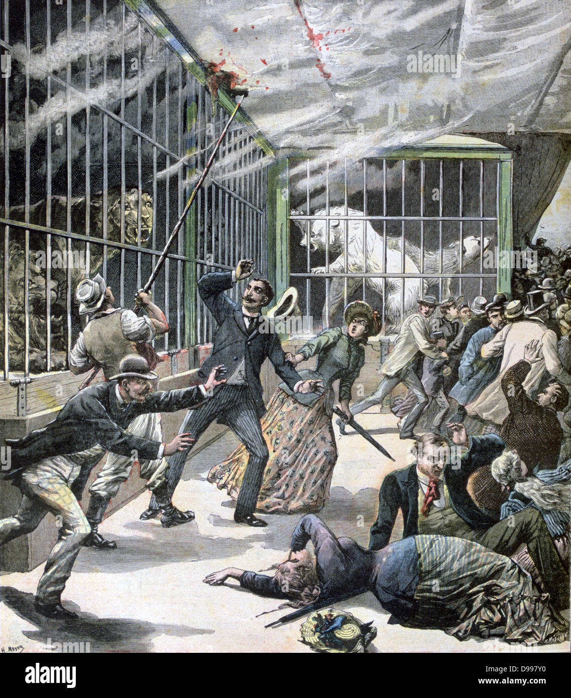 Panic in the travelling menagerie on show at the town hall, Montceau-les-Mines, France, housing lions and polar bears. Man sets fire to building while lighting petrol lamp. From 'Le Petit Journal', Paris, 26 September 1891. Entertainment Stock Photo