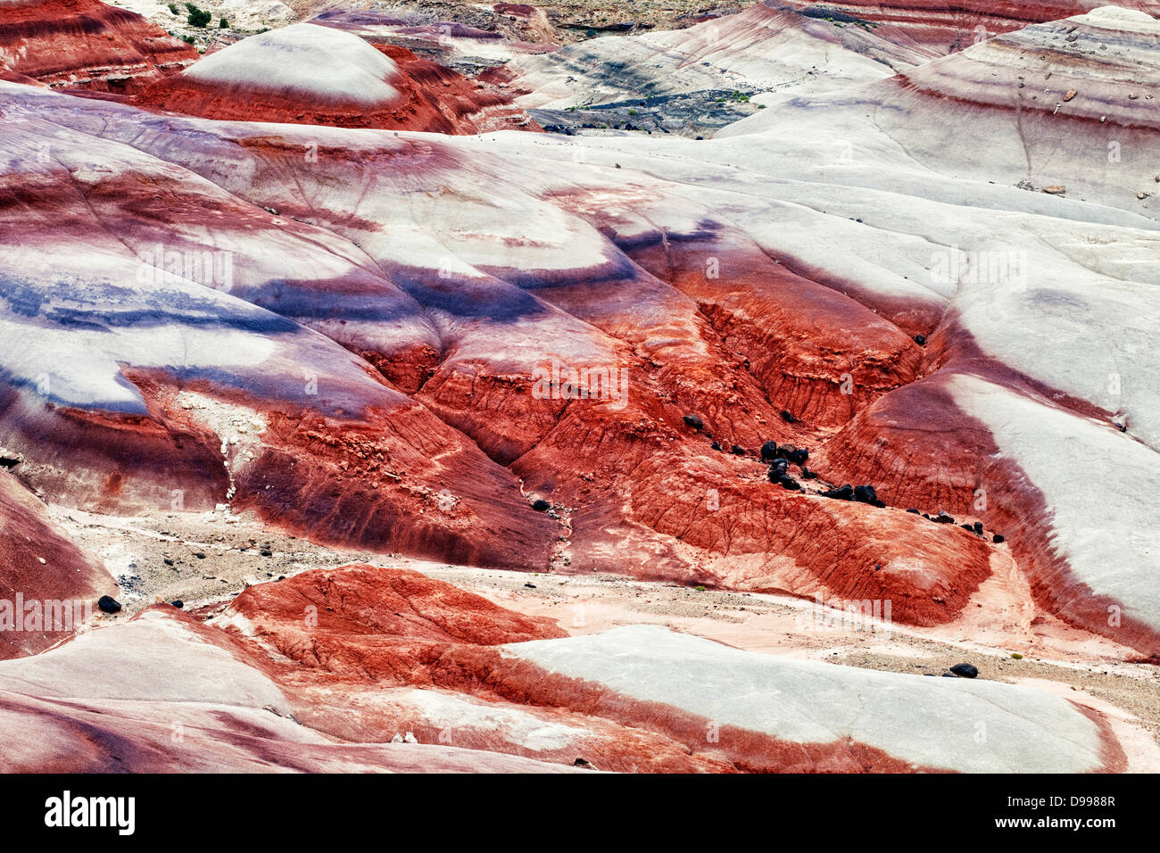 Overnight rainfall enriches colorful volcanic ash deposits at the Bentonite Hills in Utah's Capitol Reef National Park. Stock Photo