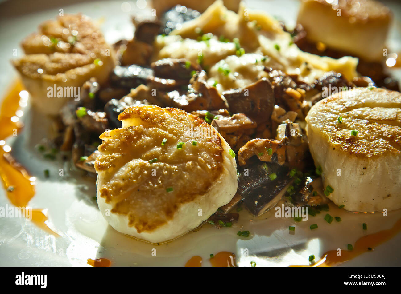 seared scallops on a dinner plate with mashed potatoes Stock Photo