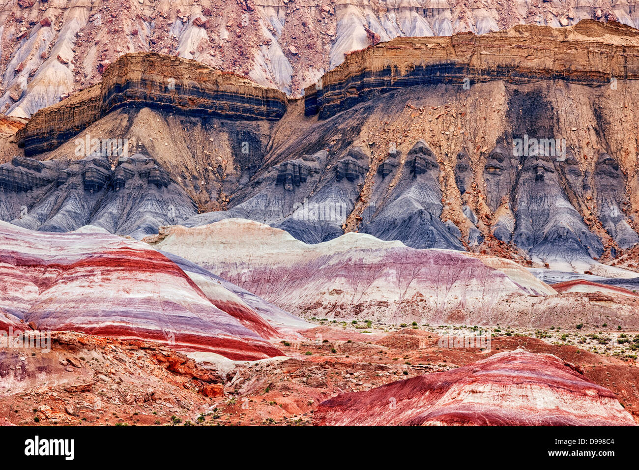Overnight rainfall enriches volcanic ash deposits at the Caneville Badlands bordering Utah's Capitol Reef National Park. Stock Photo