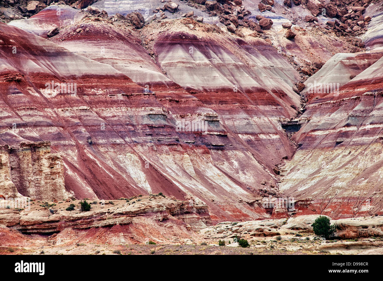 Overnight rainfall enriches colorful volcanic ash deposits at the Bentonite Hills in Utah's Capitol Reef National Park. Stock Photo