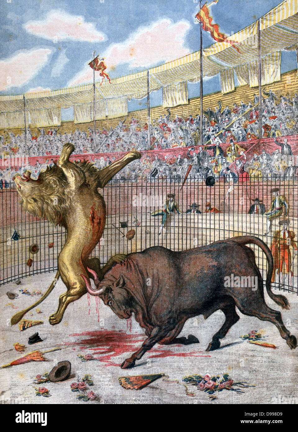 Battle between a bull and a lion in the bullring at Madrid, Spain