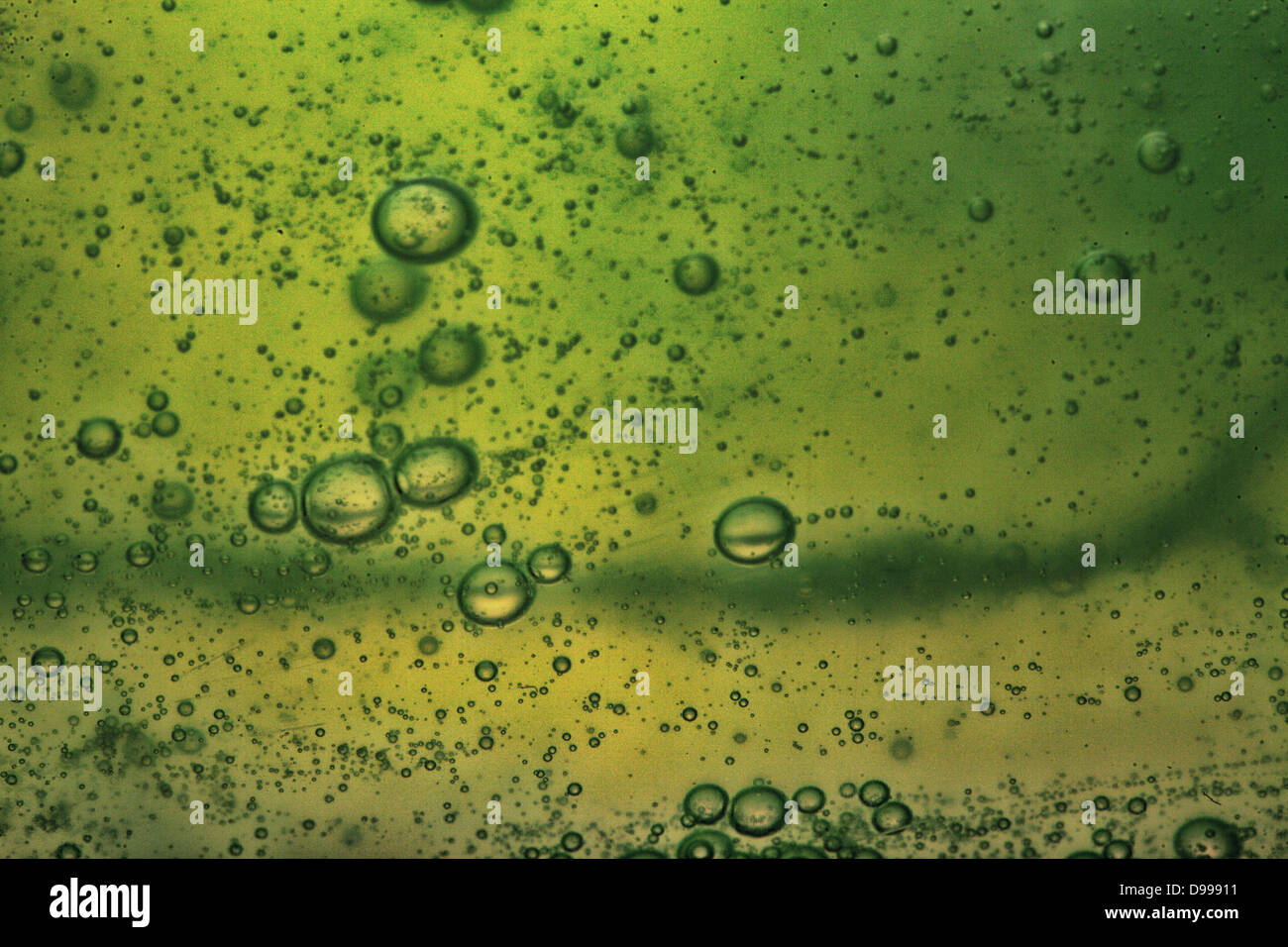 Green abstract blurred liquid background with soap bubbles Stock Photo ...