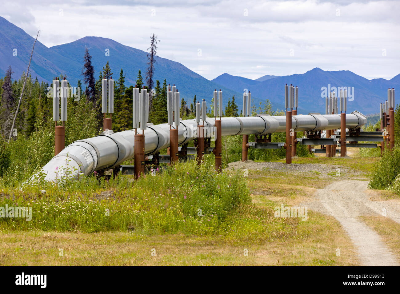 Aleyska, or Trans - Alaska Pipeline, Chugach Mountains, north of Valdez, Alaska, USA Stock Photo