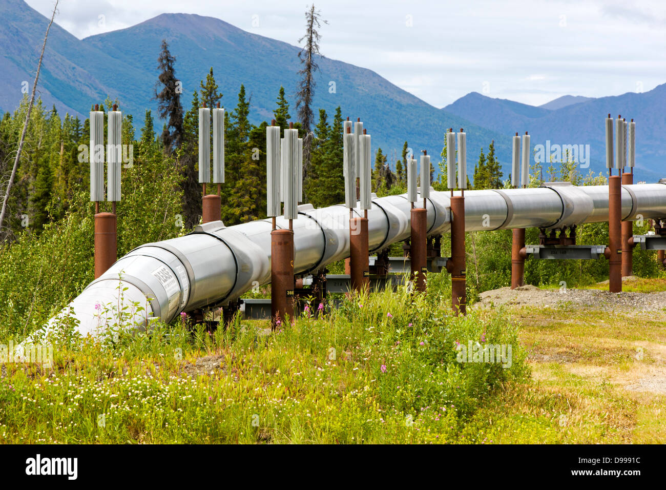 Alaskan pipeline dildo — pic 6