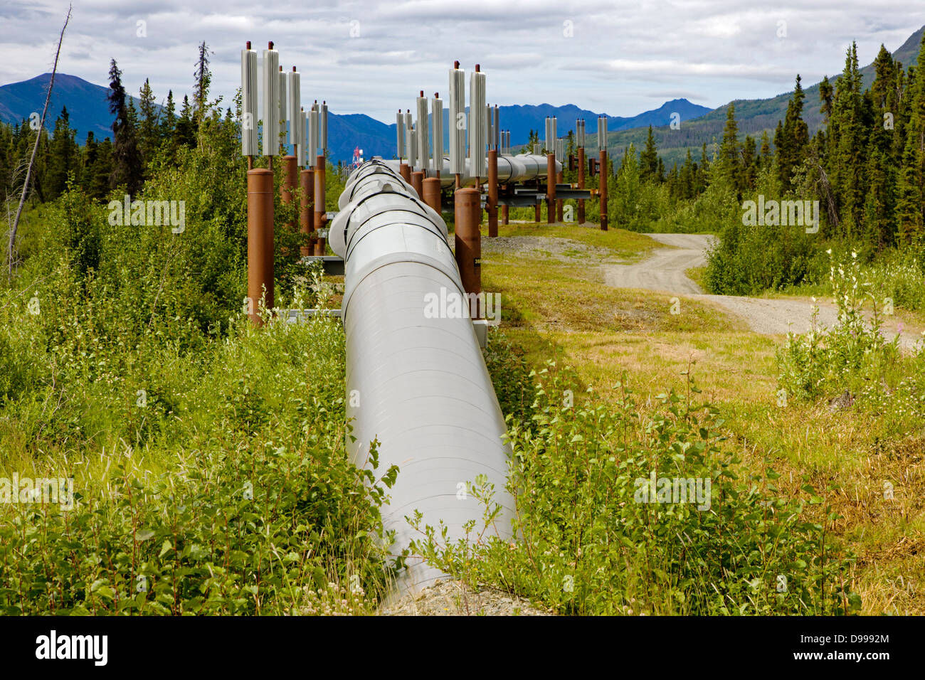 Aleyska, or Trans - Alaska Pipeline, Chugach Mountains, north of Valdez, Alaska, USA Stock Photo