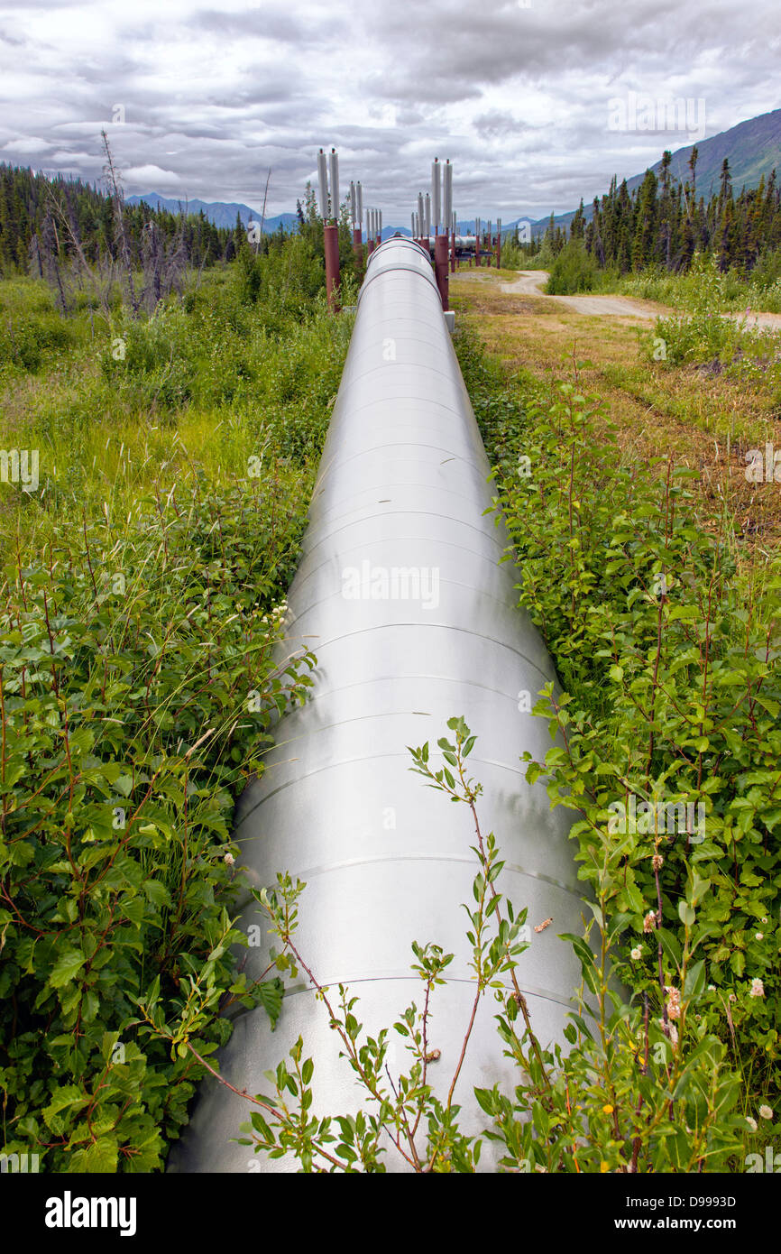 Aleyska, or Trans - Alaska Pipeline, Chugach Mountains, north of Valdez, Alaska, USA Stock Photo