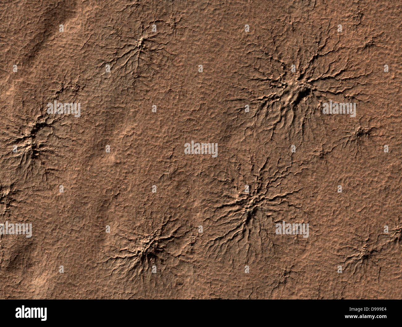 Spiders' on Mars