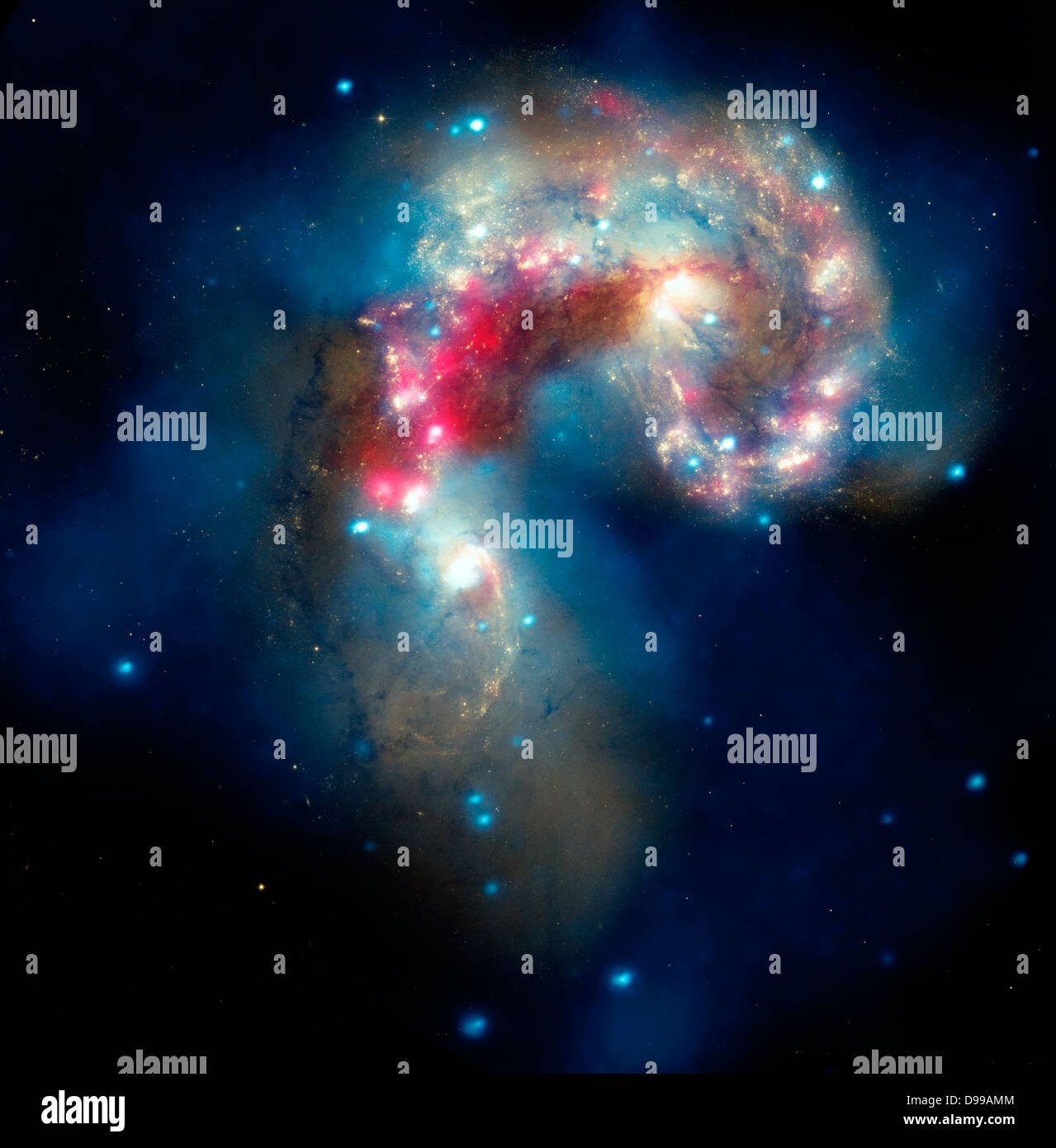 The Antennae galaxies, located about 62 million light-years from Earth, are shown in this composite image. The collision, which began more than 100 million years ago and is still occurring, has triggered the formation of millions of stars in clouds of dusts and gas in the galaxies. Hubble and Spitzer. Stock Photo