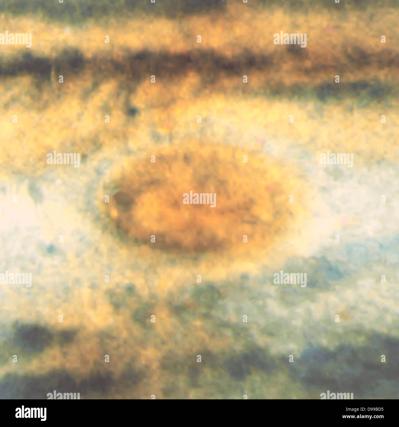 The Red Spot Is The Largest Known Storm In The Solar System