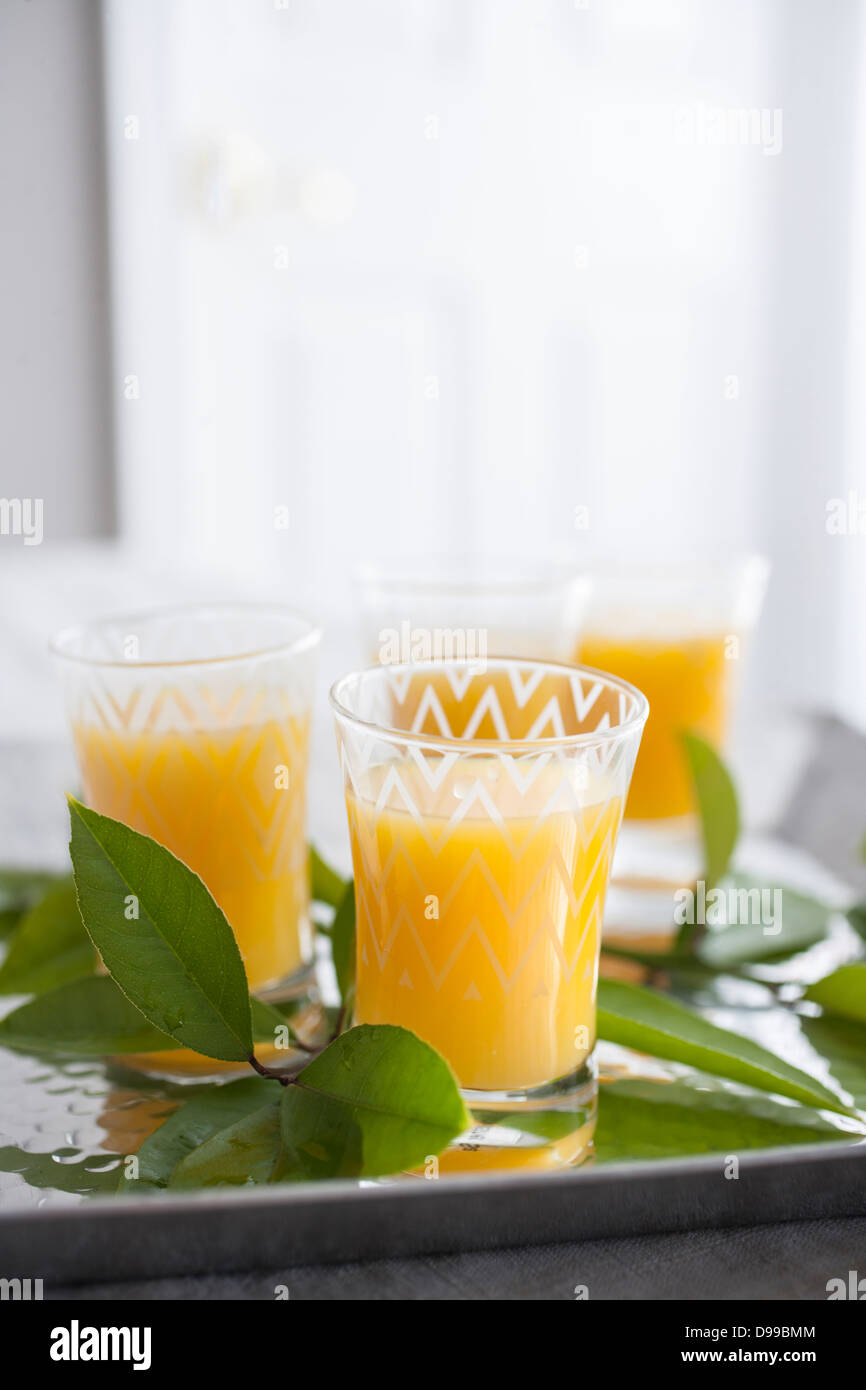 4 glasses of fresh squeezed orange juice on a serving tray Stock Photo
