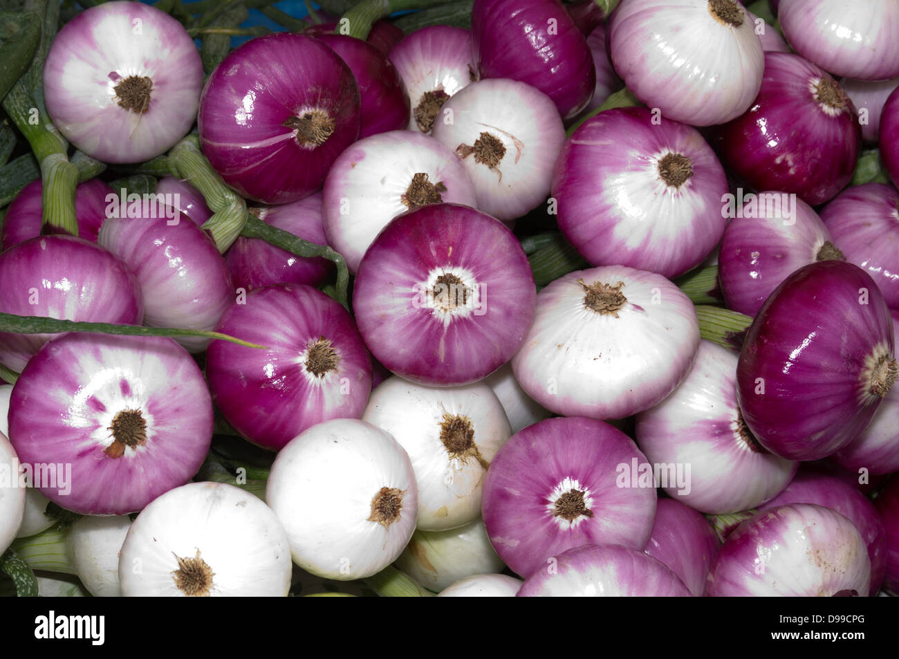 Freshly picked red onions on display at the farmers market Stock Photo ...