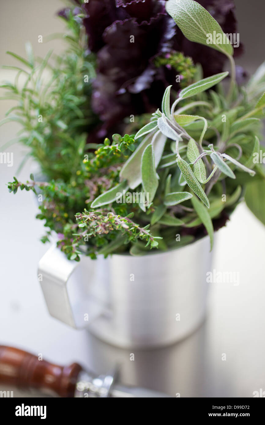 fresh herbs in the kitchen rosemary thyme sage lavender Stock Photo