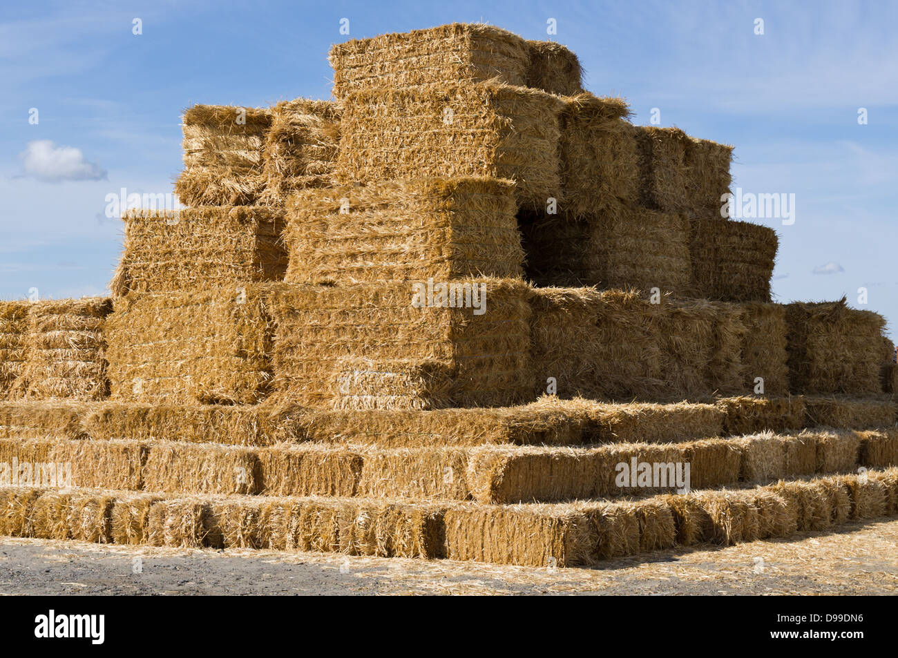 A large stack of square hay bales ready for transport Stock Photo