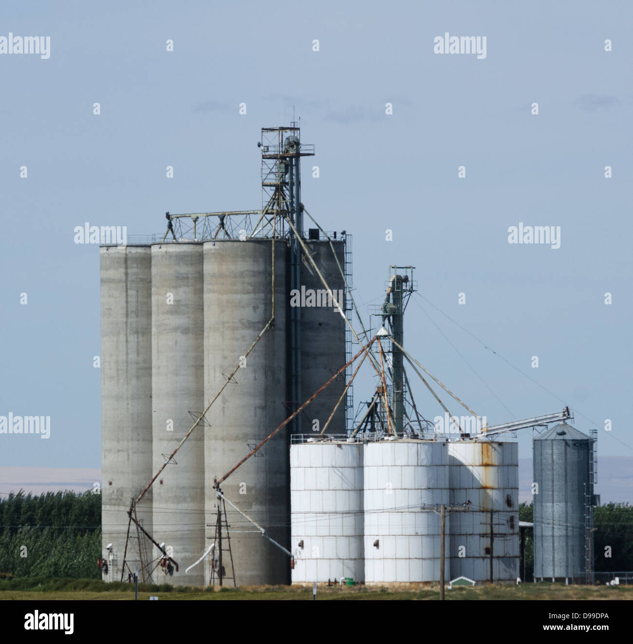 Concrete grain storage silos with elevators Stock Photo Alamy