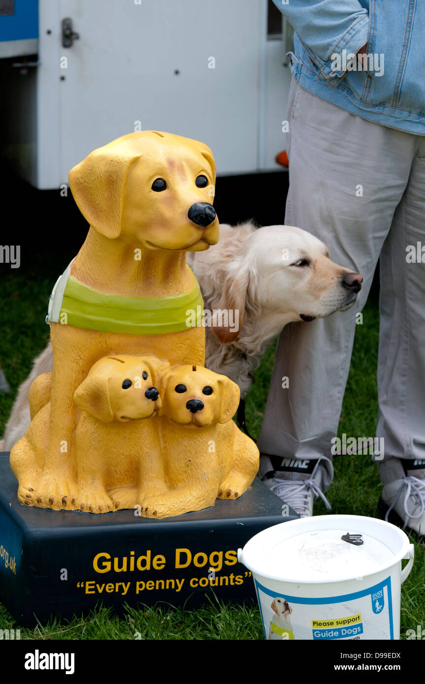 Guide Dogs charity collection box Stock Photo Alamy