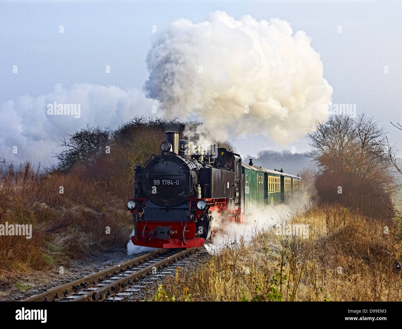 Railway Racing Narrow Gauge Railway Racing Roland, Ruegen Island, Mecklenburg-Western ...