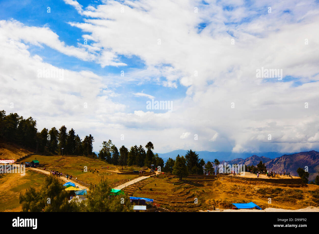 Tourists on a hill, Kufri, Shimla, Himachal Pradesh, India Stock Photo