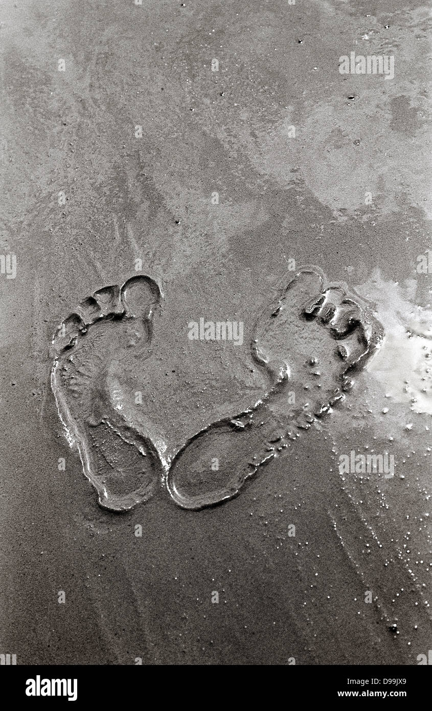 Footprint in the mud of the river Elbe during low tide in Hamburg. Stock Photo
