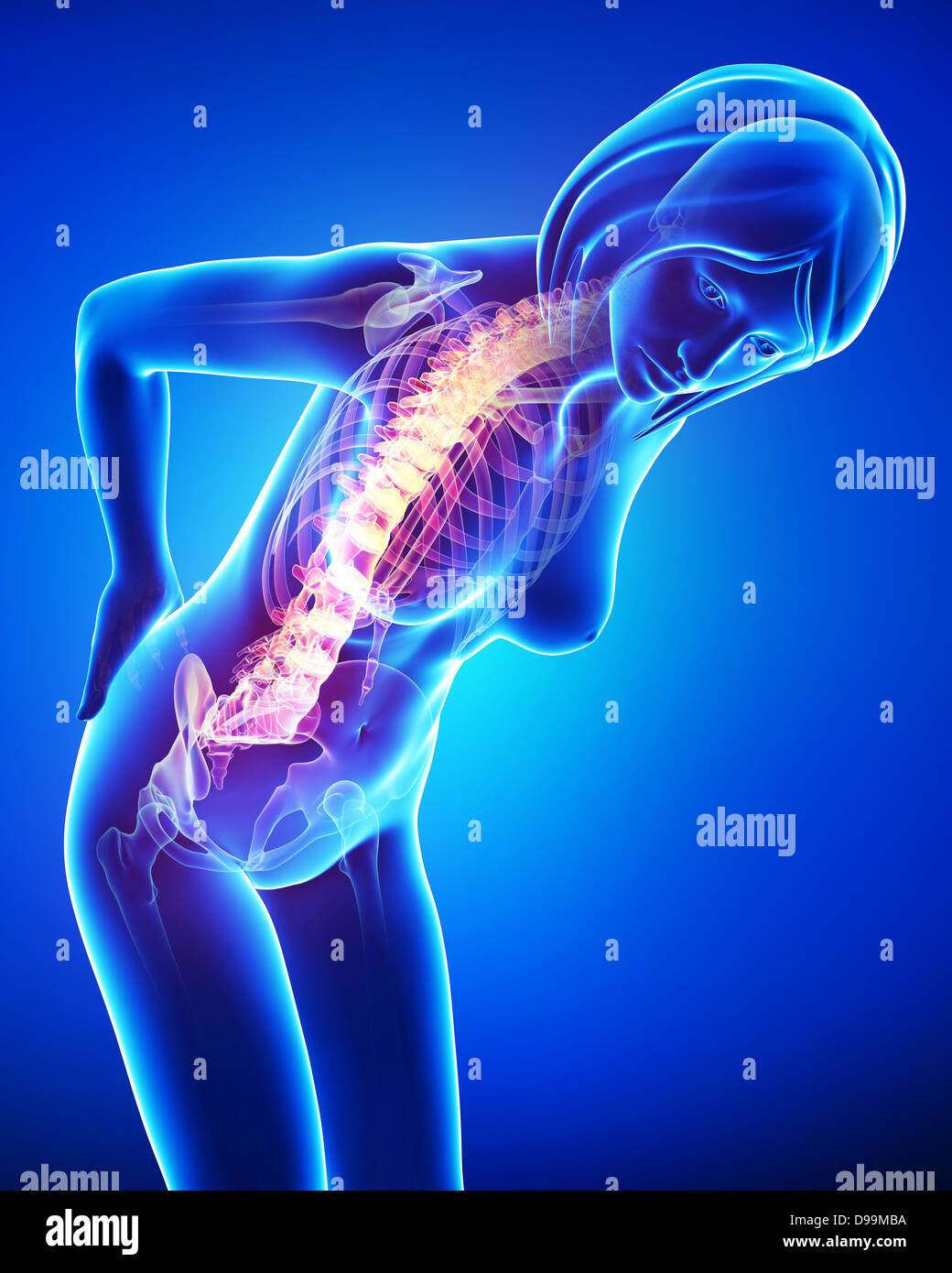 Human back pain anatomy Stock Photo - Alamy