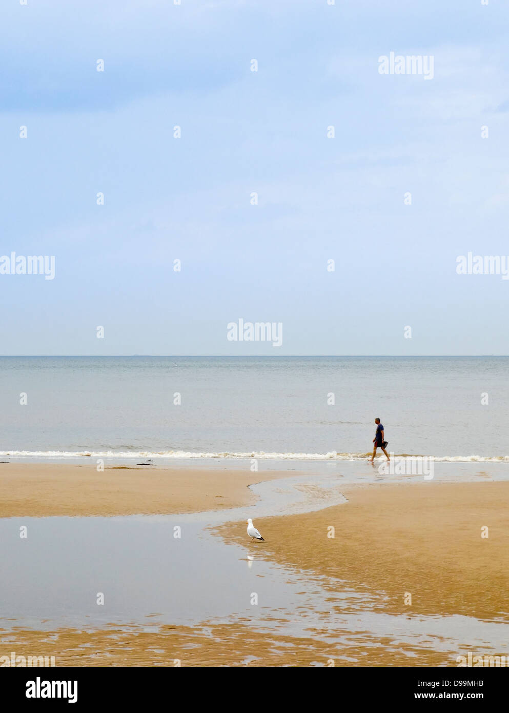 Lonely man walking on the beach hi-res stock photography and images - Alamy