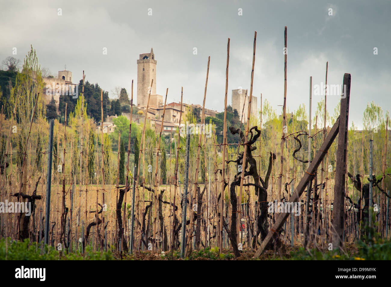 View from the outskirts of San Gimignano, Tuscany, Italy Stock Photo