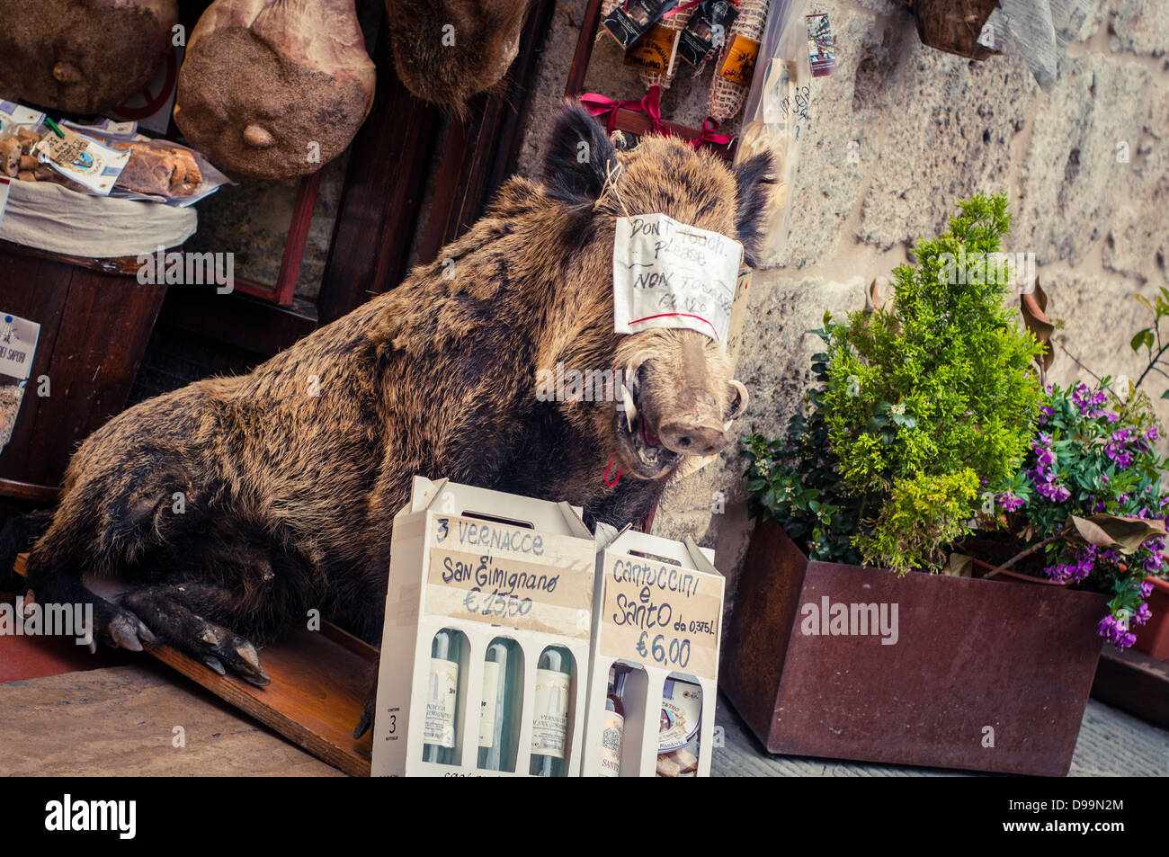 wild-boar-stuffed-animal-hi-res-stock-photography-and-images-alamy