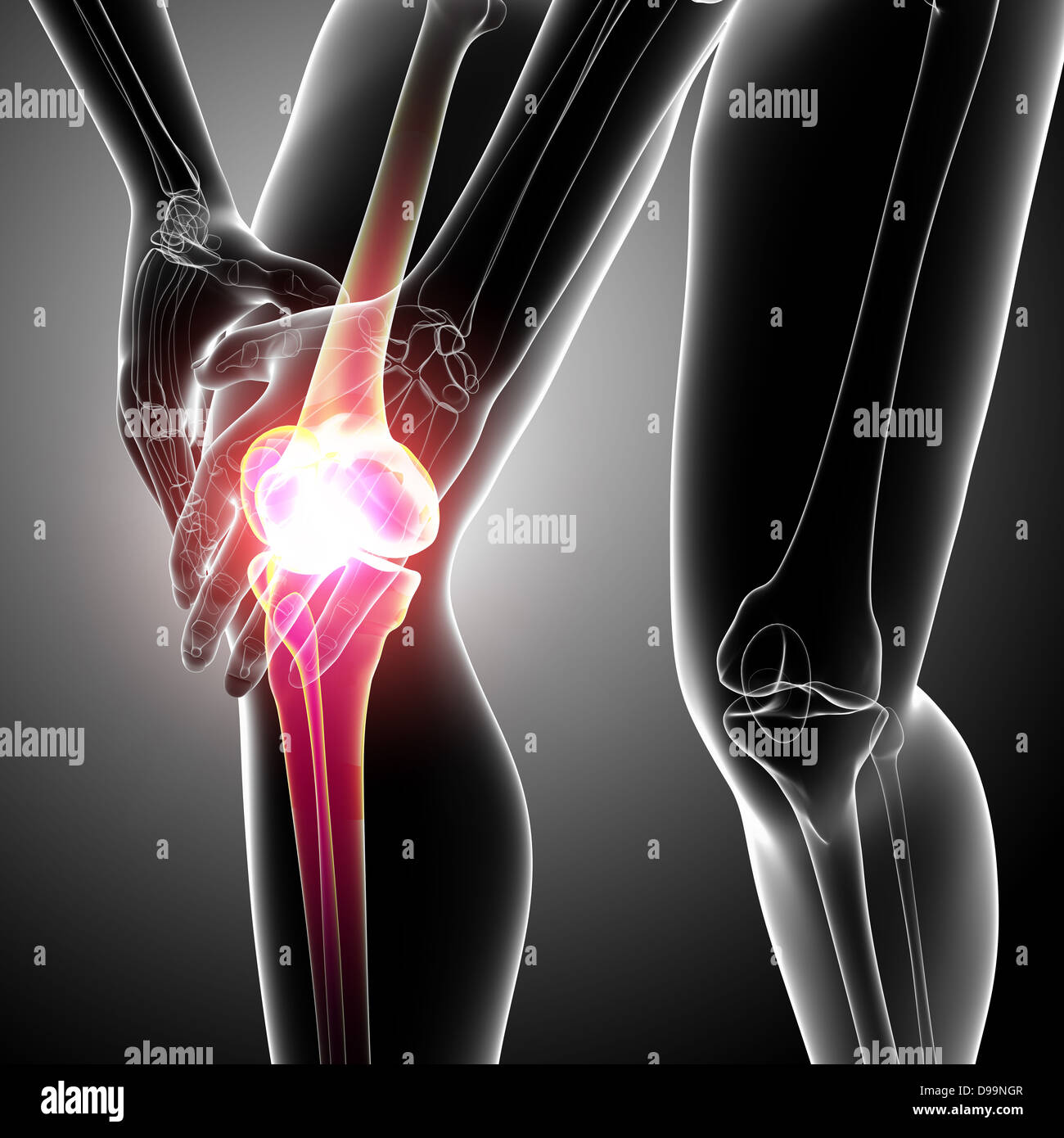 Human knee pain anatomy Stock Photo