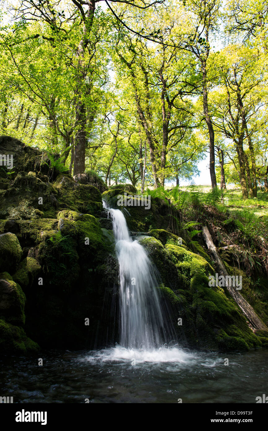 Dartmoor devon summer river hires stock photography and images Alamy