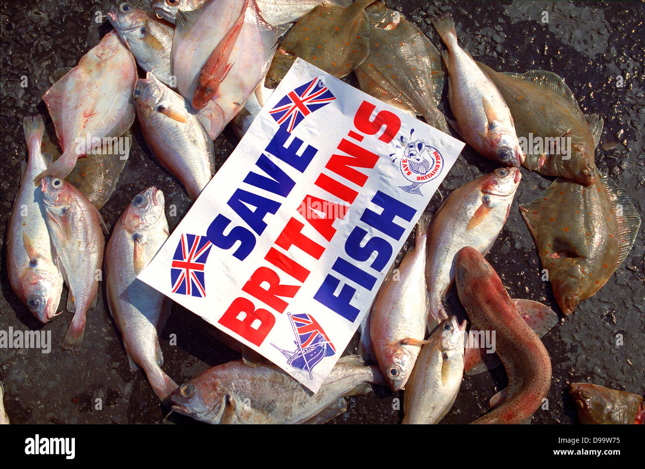 Fish discarded on the streets of Plymouth in Devon in protest to EU regulations. Stock Photo