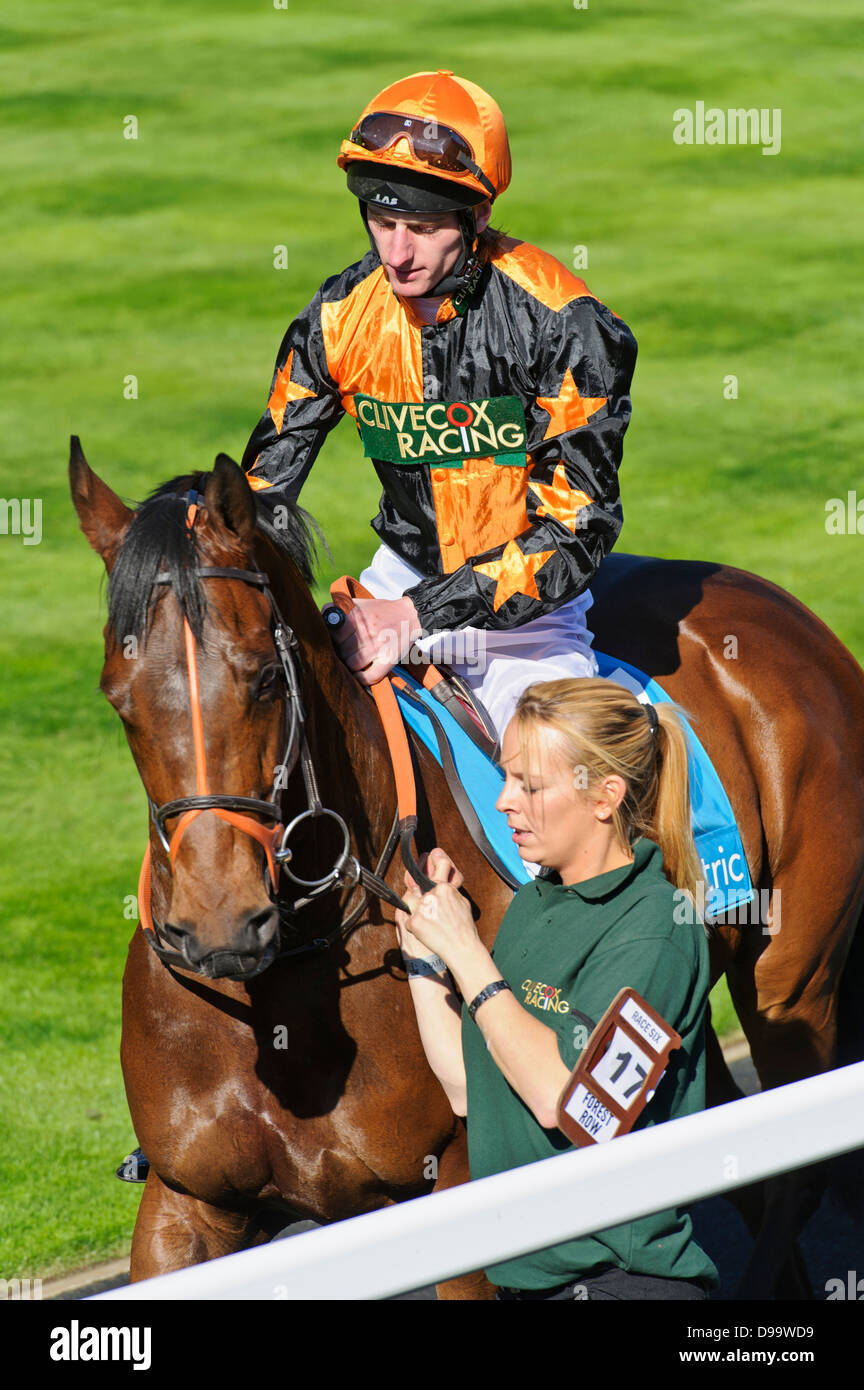 Horse mounted by jockey in horse enclosure, Ascot Racecourse, London